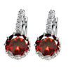 Delicate Luxurious Earrings - Stylishjewelry